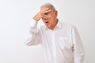 Obraz premium Senior grey-haired man wearing elegant shirt standing over isolated white background peeking in shock covering face and eyes with hand, looking through fingers with embarrassed expression.