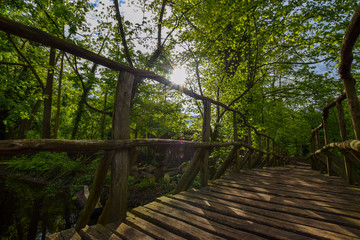 natural scenery with water
