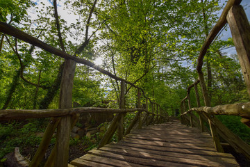 natural scenery with water