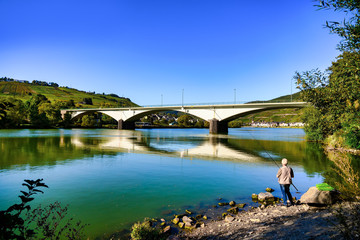 Idyllic spot on the river Mosel with a view of the moselle bridge and the village Zell