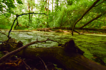 natural scenery with water