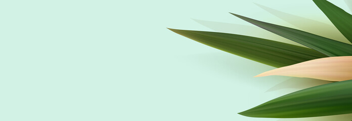 Realistic tropical leaves template