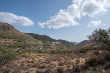 Fototapeta na wymiar mountainous landscape with olive trees