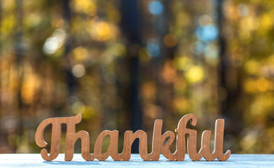 Thankful message in wooden letters Thanksgiving theme on a fall forest background