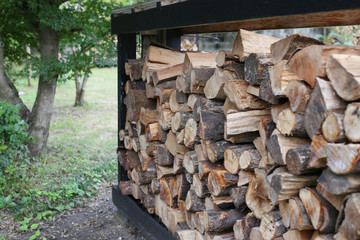 冬に使う薪を集めた写真