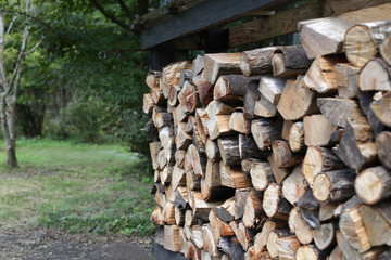 冬に使う薪を集めた写真