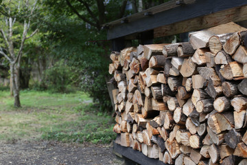 冬に使う薪を集めた写真