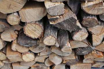 冬に使う薪を集めた写真