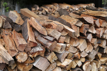 冬に使う薪を集めた写真