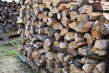 冬に使う薪を集めた写真