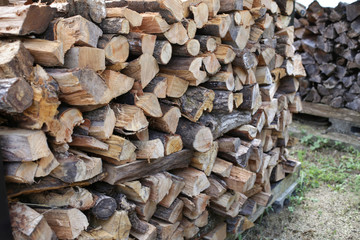 冬に使う薪を集めた写真