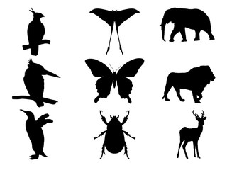 Bird,  insect and wildlife vector illustration isolated on white