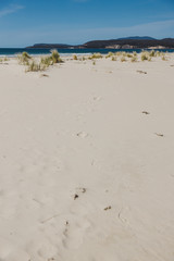 sunny pristine and deserted beach overlooking the South Pacific Ocean