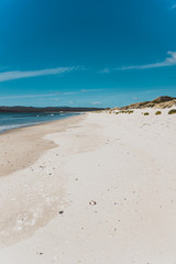 sunny pristine and deserted beach overlooking the South Pacific Ocean