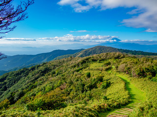 【静岡県伊豆半島】夏の高原風景【伊豆山稜線歩道・だるま山周辺】