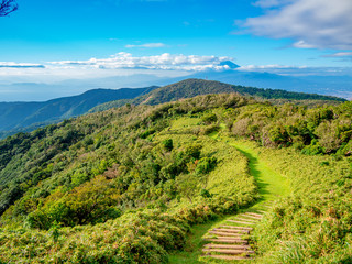 【静岡県伊豆半島】夏の高原風景【伊豆山稜線歩道・だるま山周辺】