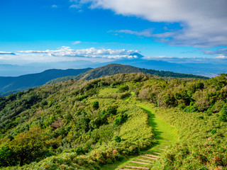 【静岡県伊豆半島】夏の高原風景【伊豆山稜線歩道・だるま山周辺】