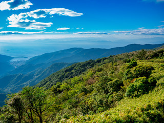【静岡県伊豆半島】夏の高原風景【伊豆山稜線歩道・だるま山周辺】