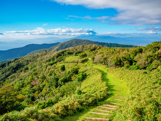 【静岡県伊豆半島】夏の高原風景【伊豆山稜線歩道・だるま山周辺】