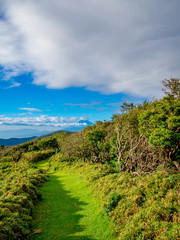 【静岡県伊豆半島】夏の高原風景【伊豆山稜線歩道・だるま山周辺】