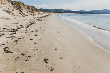 sunny pristine and deserted beach overlooking the South Pacific Ocean