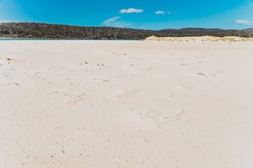 sunny pristine and deserted beach overlooking the South Pacific Ocean