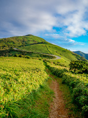 【静岡県伊豆半島】夏の高原風景【伊豆山稜線歩道・だるま山周辺】