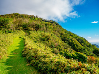 【静岡県伊豆半島】夏の高原風景【伊豆山稜線歩道・だるま山周辺】