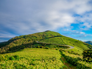 【静岡県伊豆半島】夏の高原風景【伊豆山稜線歩道・だるま山周辺】