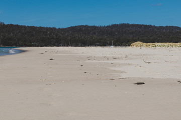 sunny pristine and deserted beach overlooking the South Pacific Ocean
