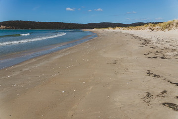 sunny pristine and deserted beach overlooking the South Pacific Ocean