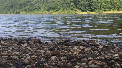 stones in water