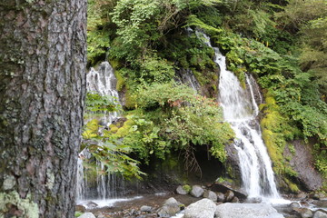 山梨　清里　吐竜の滝 
