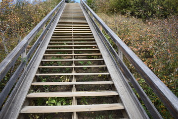 wooden stairs