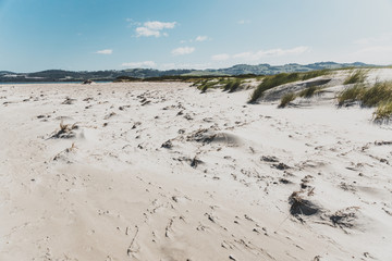 sand dunes along deserted beach in Marion Bay