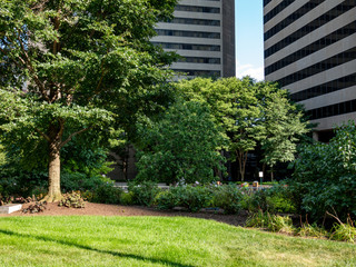 City Park and Buildings