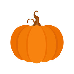 Autumn pumpkin isolated on white background