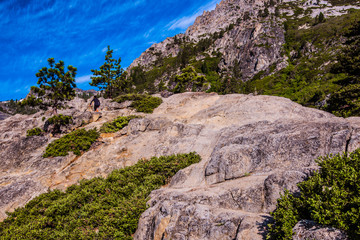 Up On The Mountainside