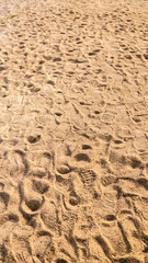 Footsteps of people on the sand near the beach,