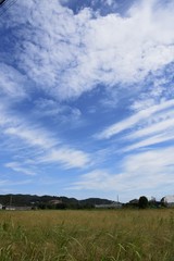 September sky and autumn countryside in Japan. The blue sky and white clouds give a sense of the seasons.