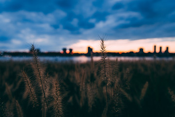 Setting Sun, Blue Sky