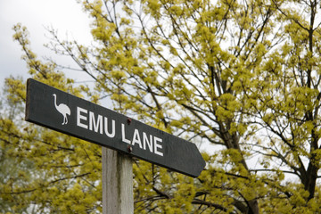 Emu lane wooden direction sign with tree backdrop