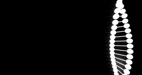 Srls of DNA molecules on black background . 3D Rendering