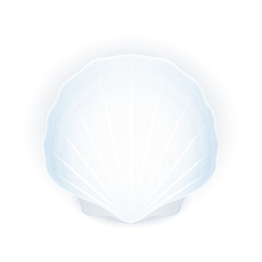 Seashell isolated on white background, blue shell, vector illustration