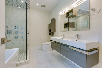 Interior design of a modern bathroom in the newly built house or apartment, hotel room.