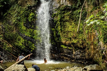 View of the rain forest in El Yunque National Park in Puerto Rico