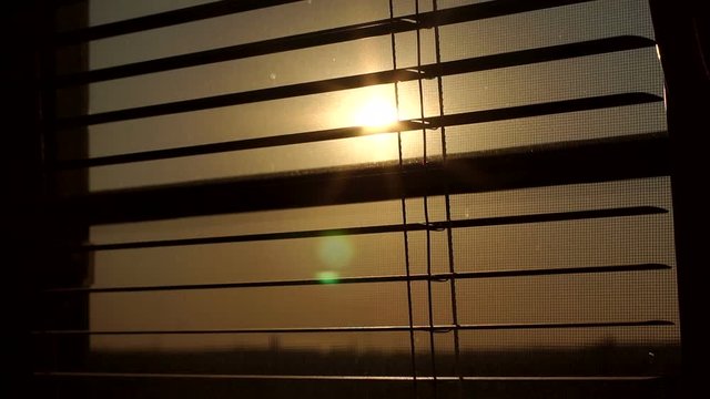 Sunrise behind the window blinds and mosquito net. Rising sun behind window blinds. Sunlight behind vertical blinds.