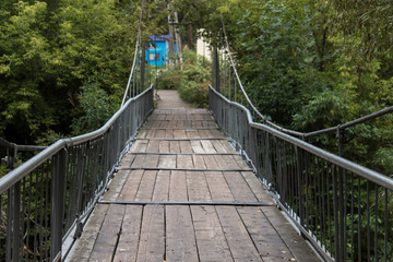 Wooden bridge. Bridge in the forest. 