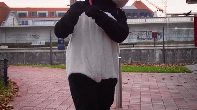 A Badass panda is trying to steal a bicycle in 4K