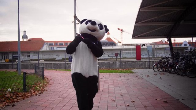 A Badass panda is trying to steal a bicycle in 4K
